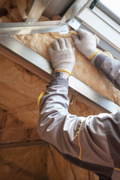 Best Fiberglass Insulation in Sidy, NE