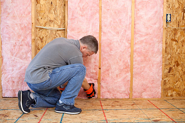 Best Energy Efficiency Insulation in Sidy, NE