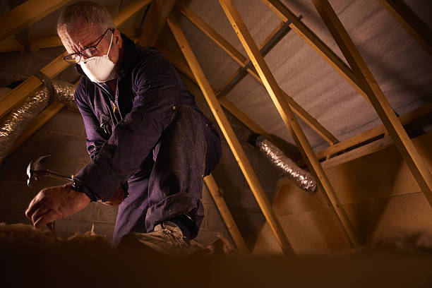 Best Insulation for Specific Applications in Sidy, NE